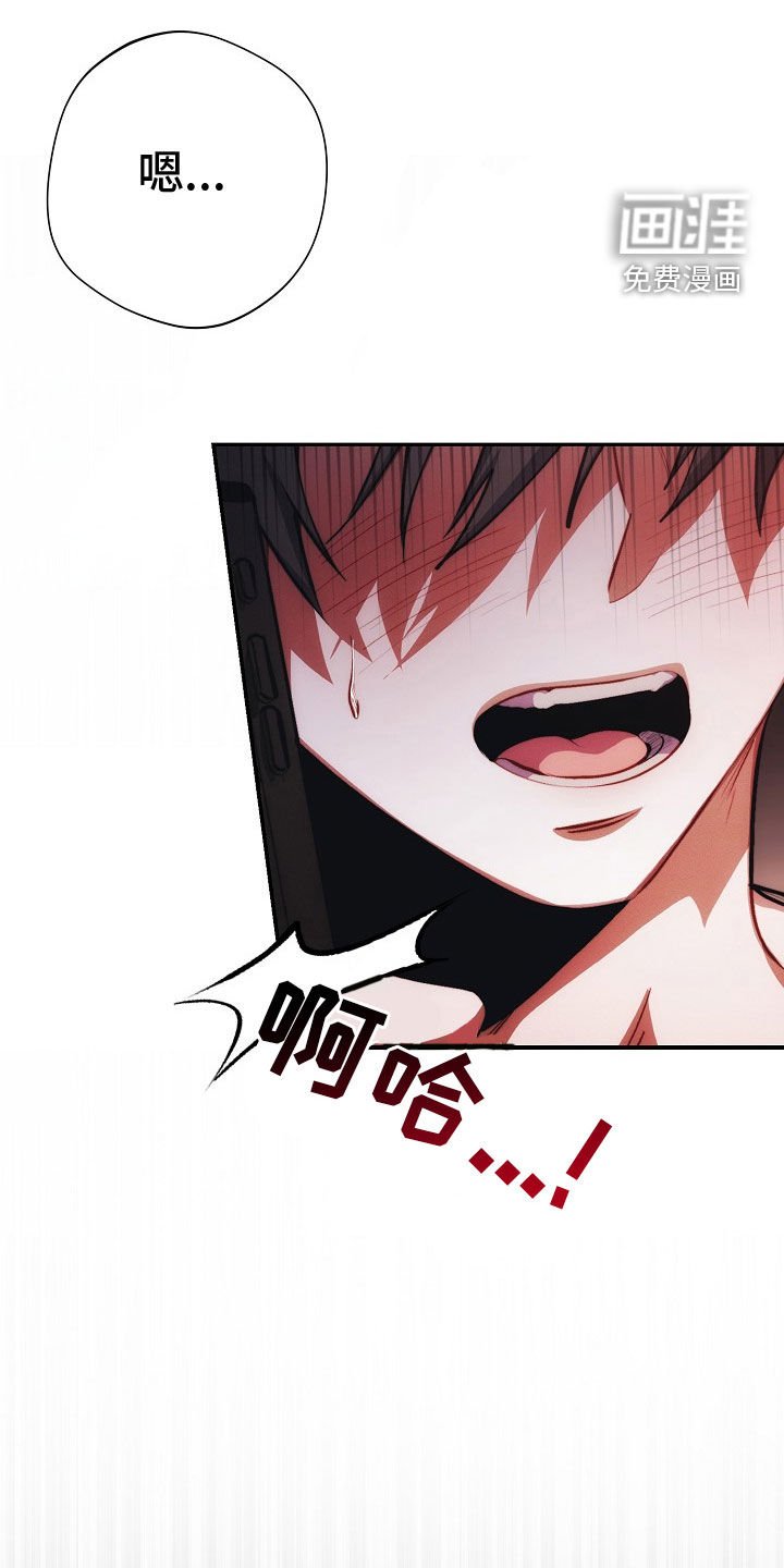 第42章：同情