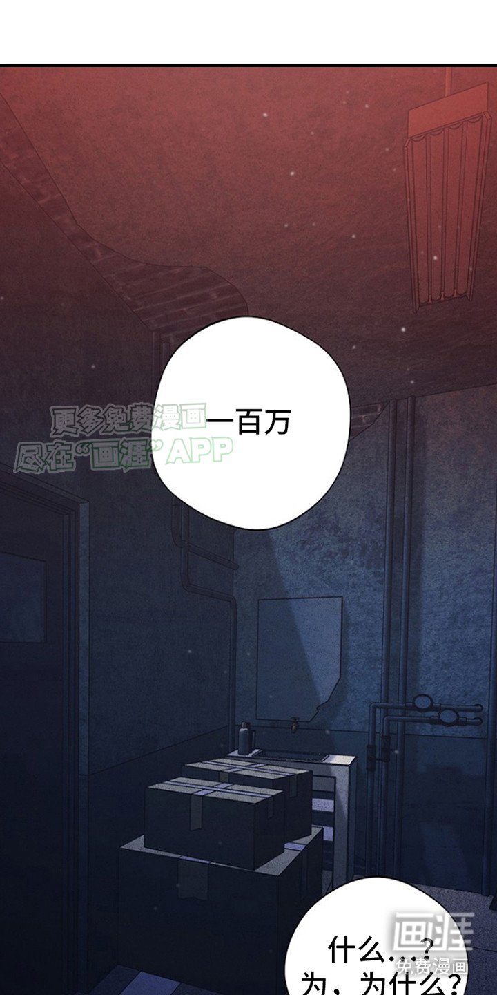 第5章：涨价