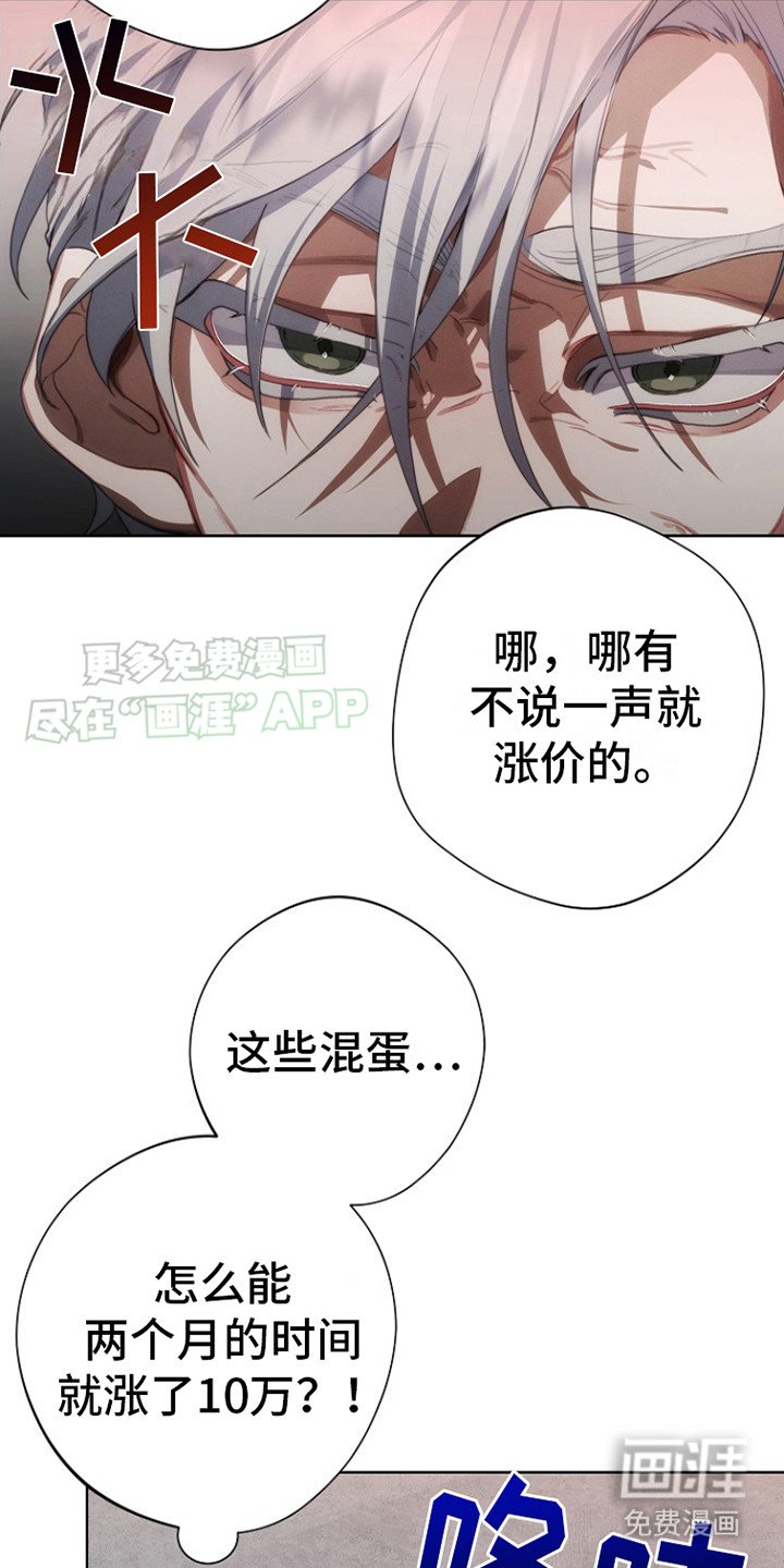 第5章：涨价