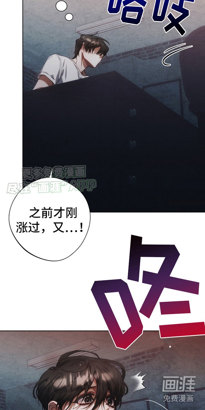 第5章：涨价