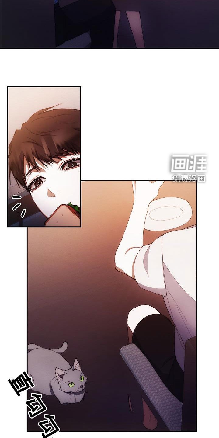 第55章：喜好