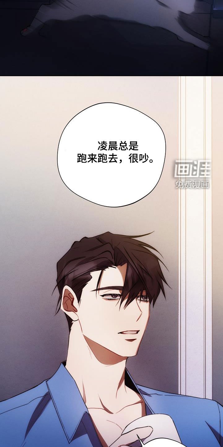 第55章：喜好