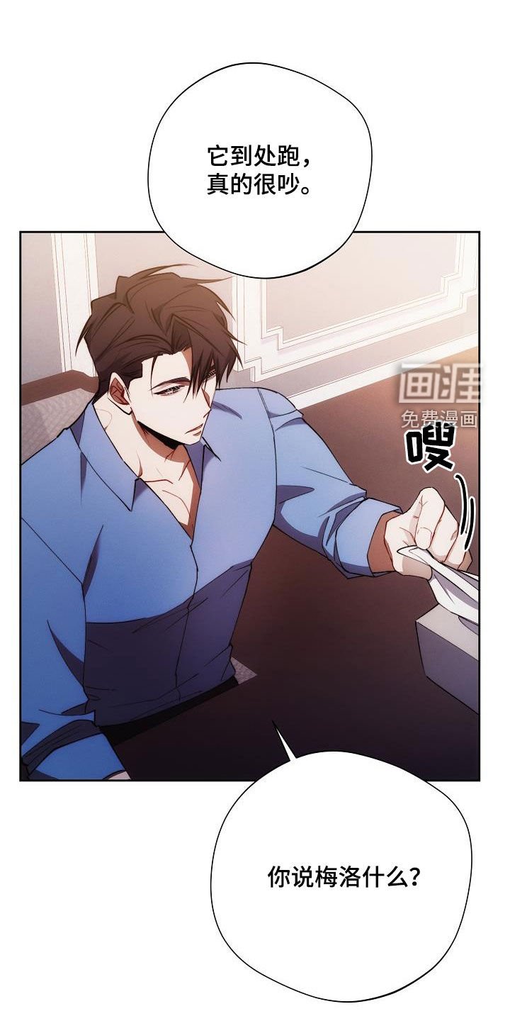 第55章：喜好
