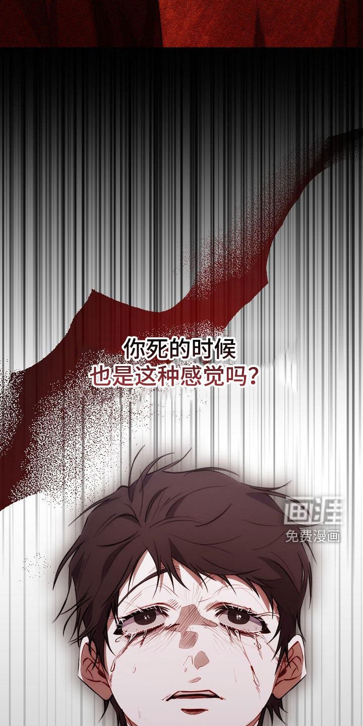 第56章：软柿子
