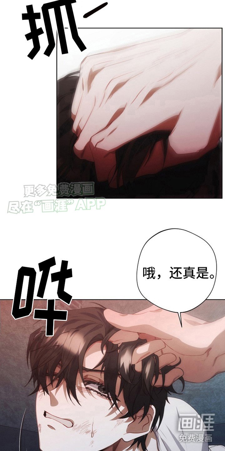 第6章：教训