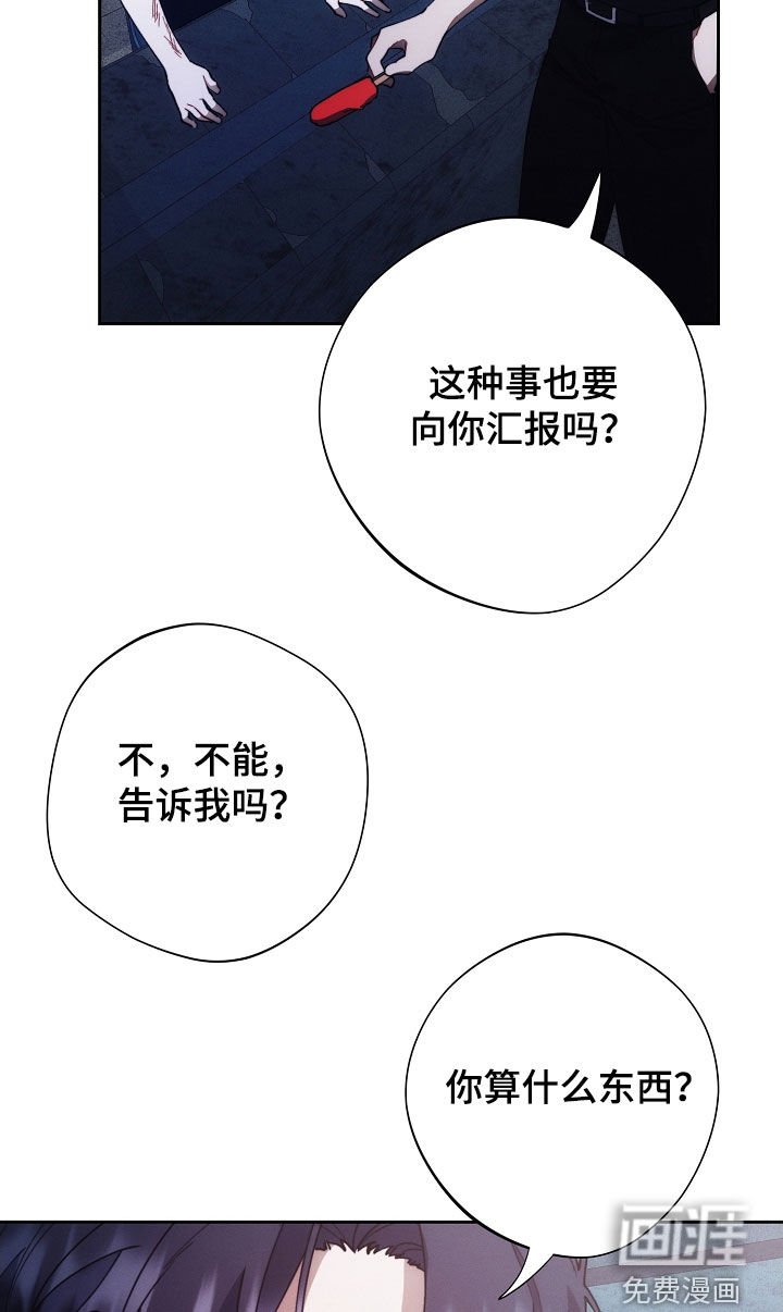 第62章：特别甜