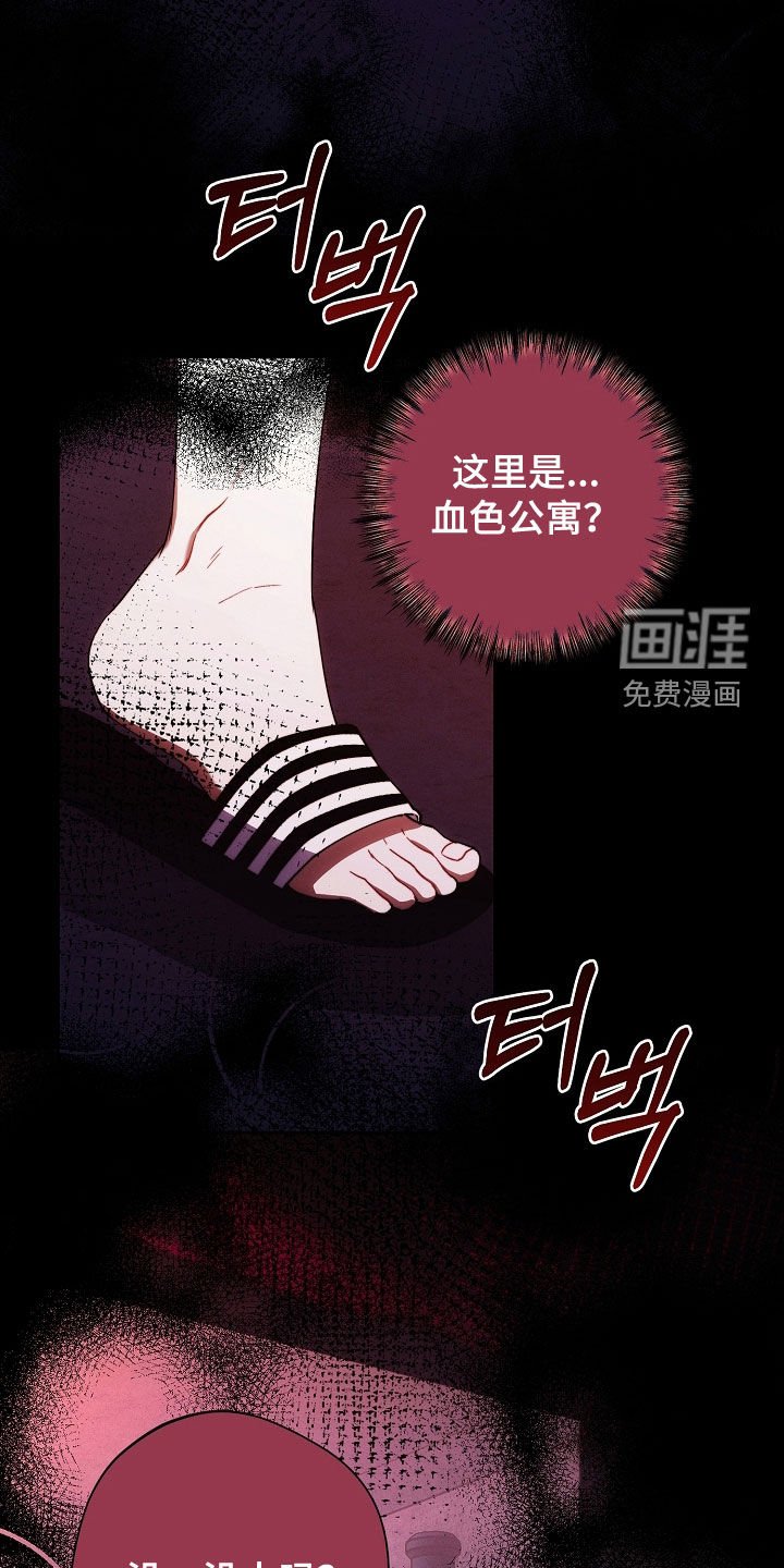 第66章：手表