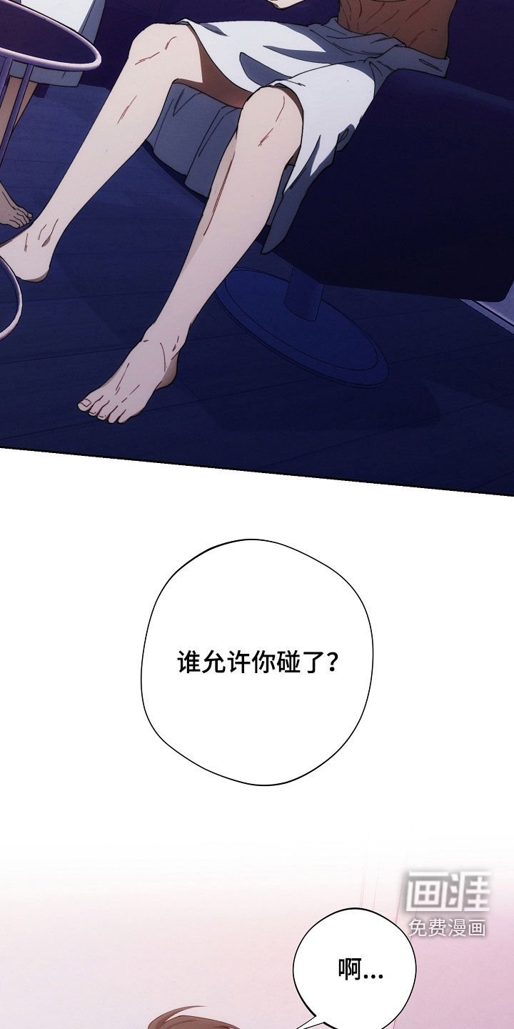 第67章：礼物