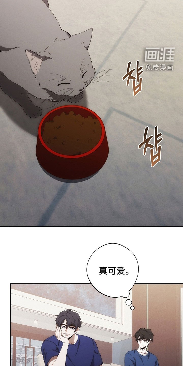 第68章：不能没有我