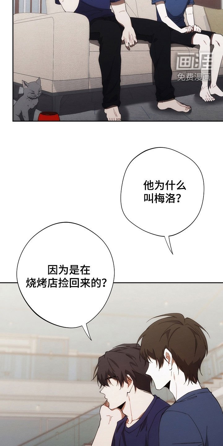 第68章：不能没有我