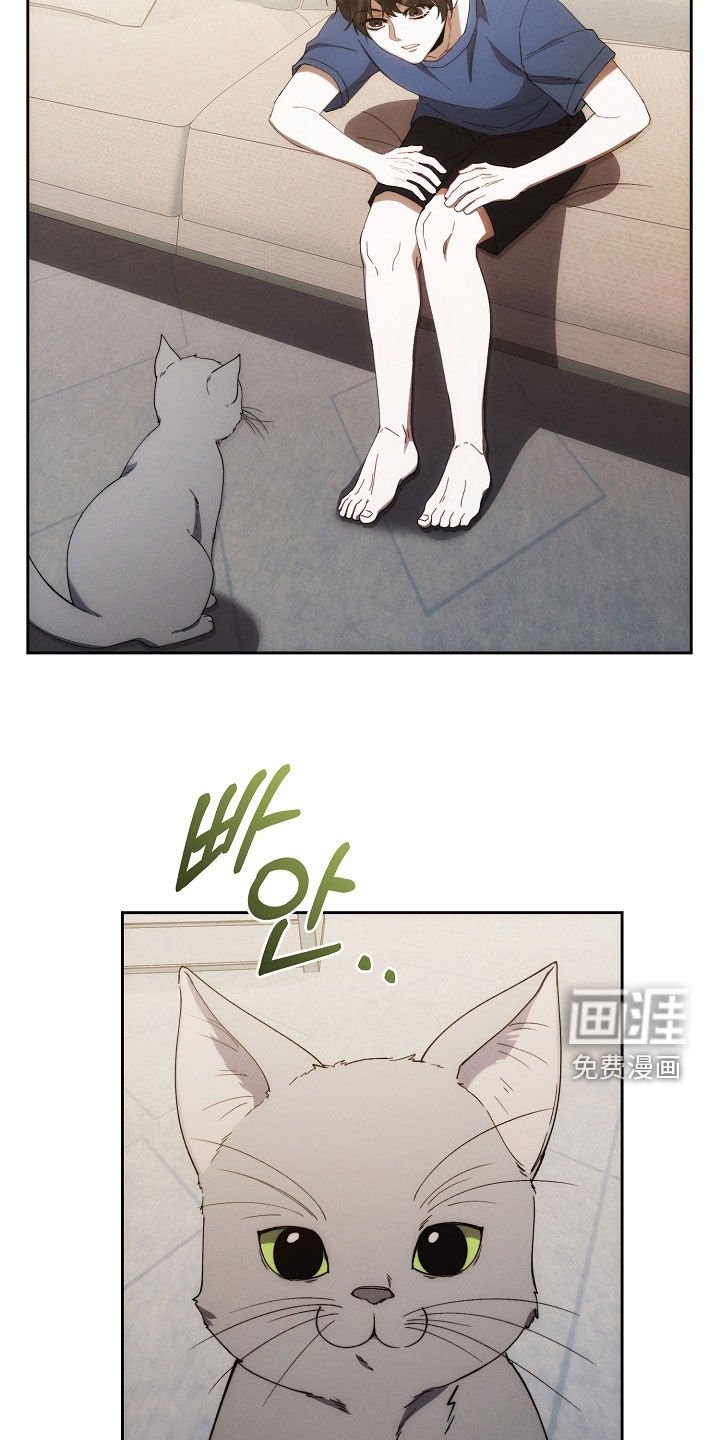 第68章：不能没有我