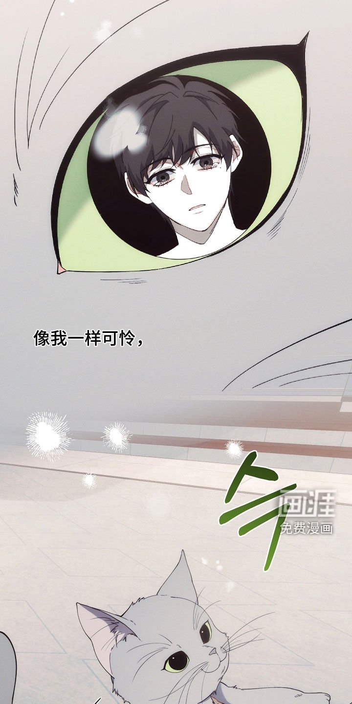 第68章：不能没有我