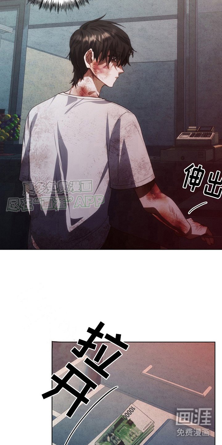 第7章：很耀眼