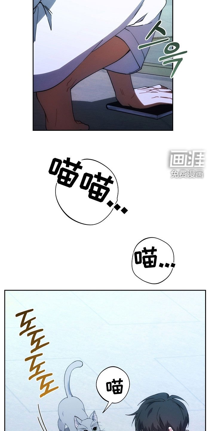 第71章：他笑了