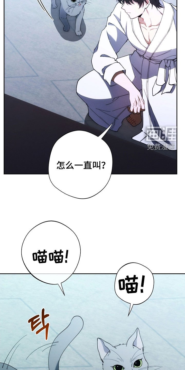 第71章：他笑了