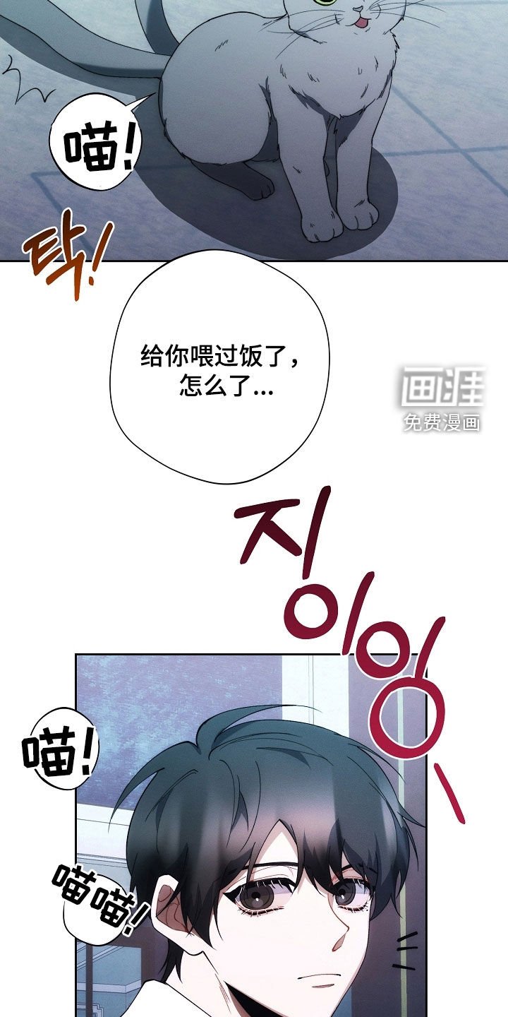 第71章：他笑了