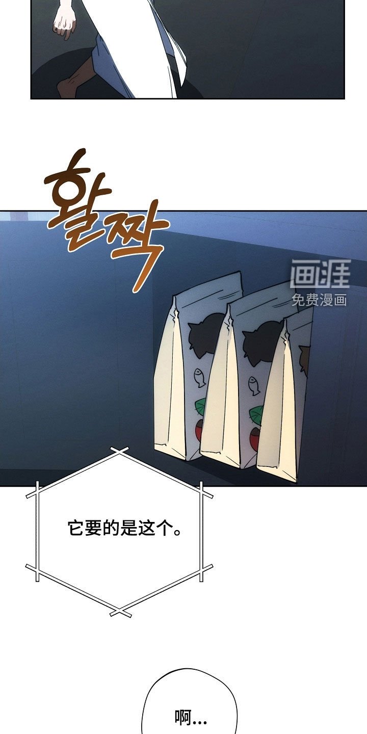 第71章：他笑了