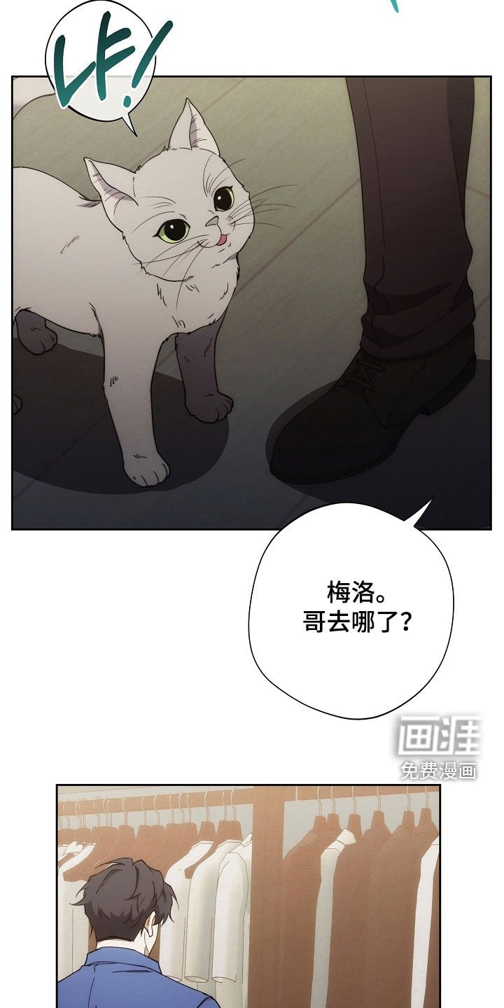 第75章：我没偷东西