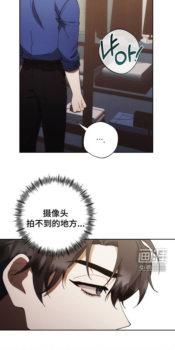 第75章：我没偷东西