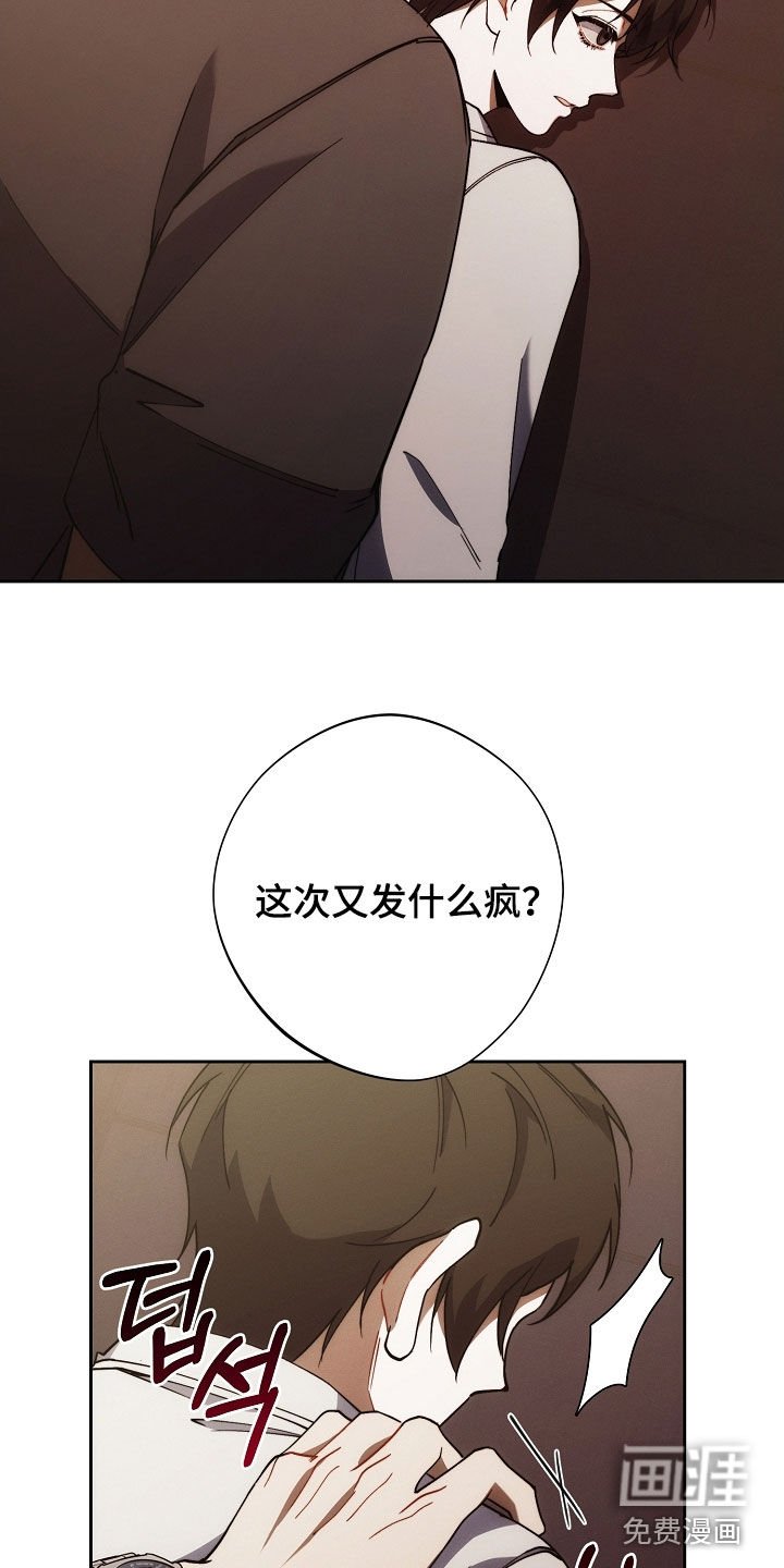 第77章：全都死了