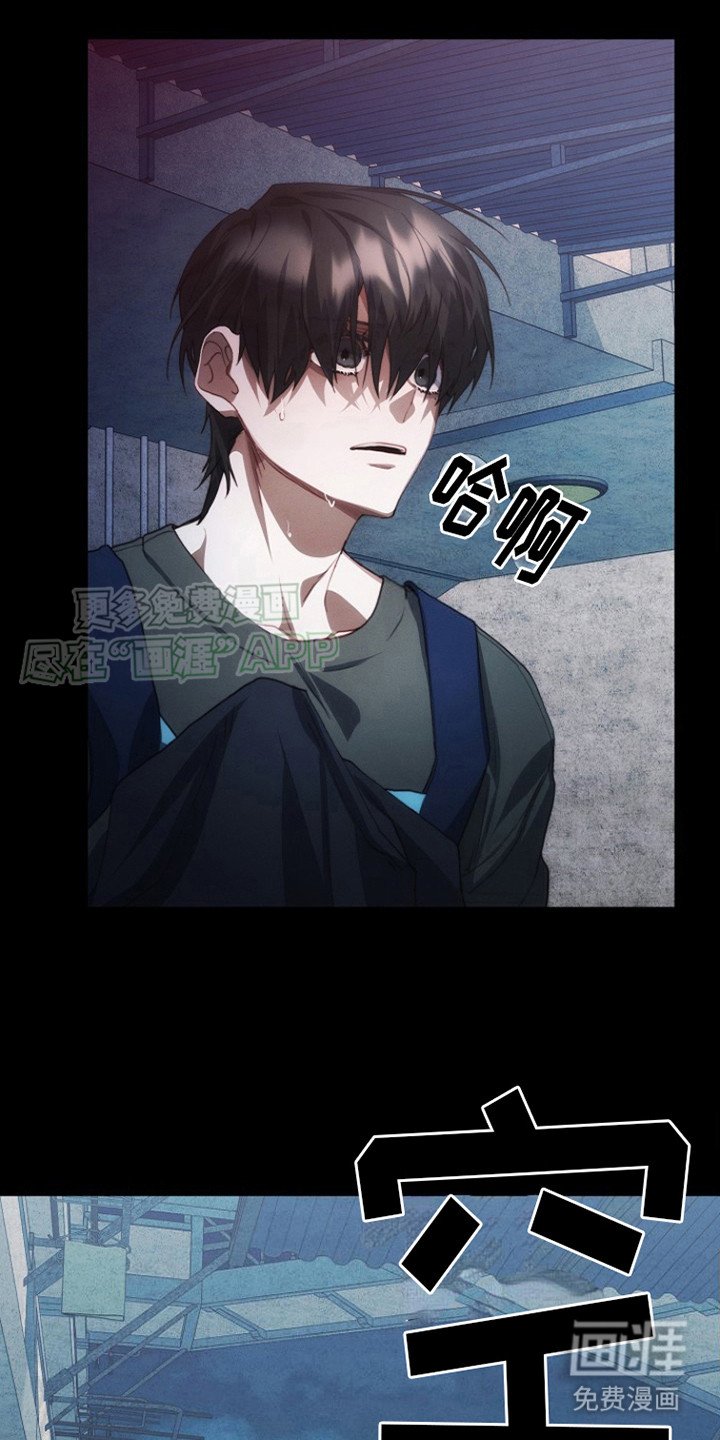 第8章：外套