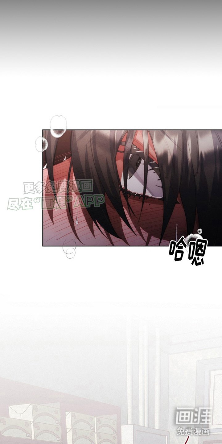 第8章：外套