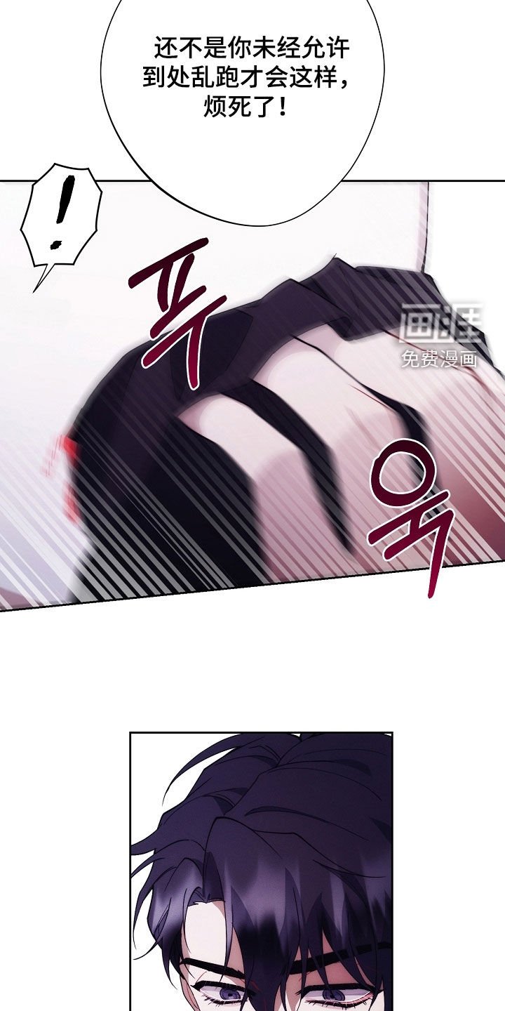 第80章：特别