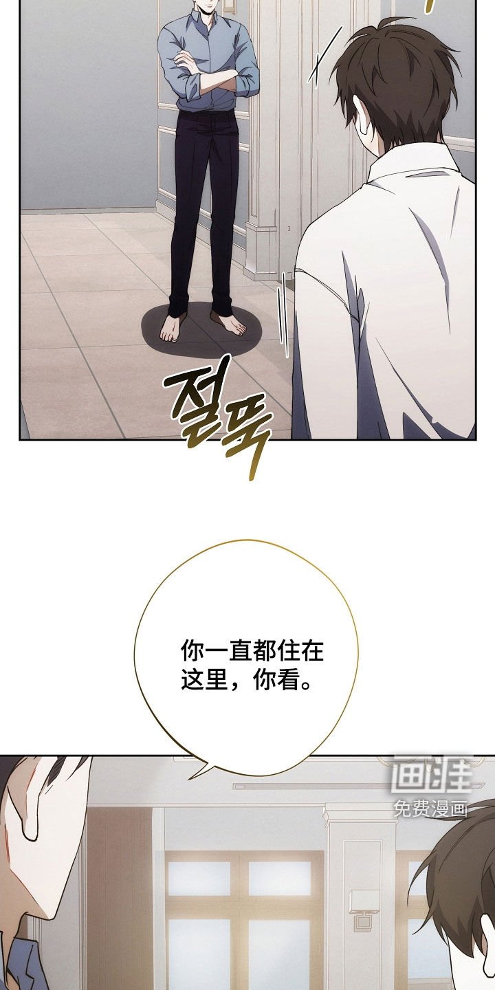 第81章：原来是真的