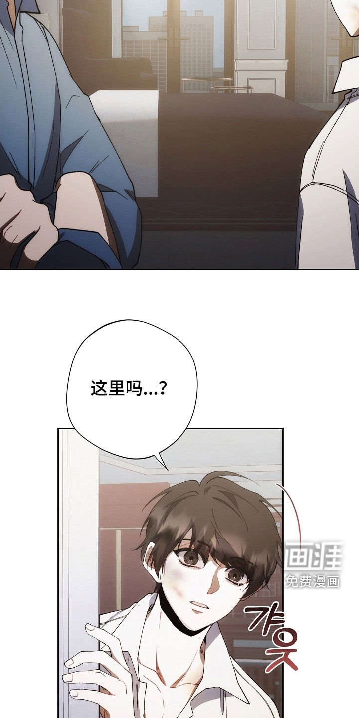 第81章：原来是真的