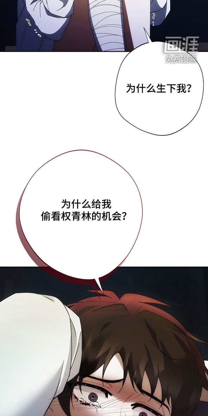 第89章：下辈子