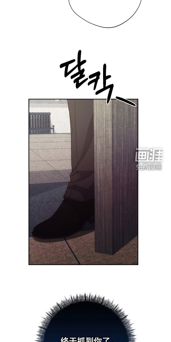 第91章：报复