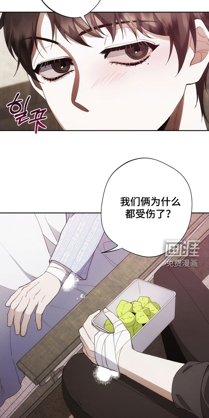 第93章：另一种机会