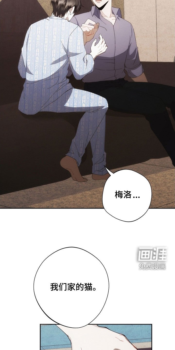 第93章：另一种机会