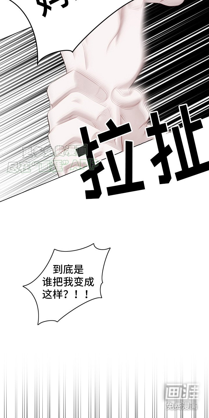第11章：自作多情