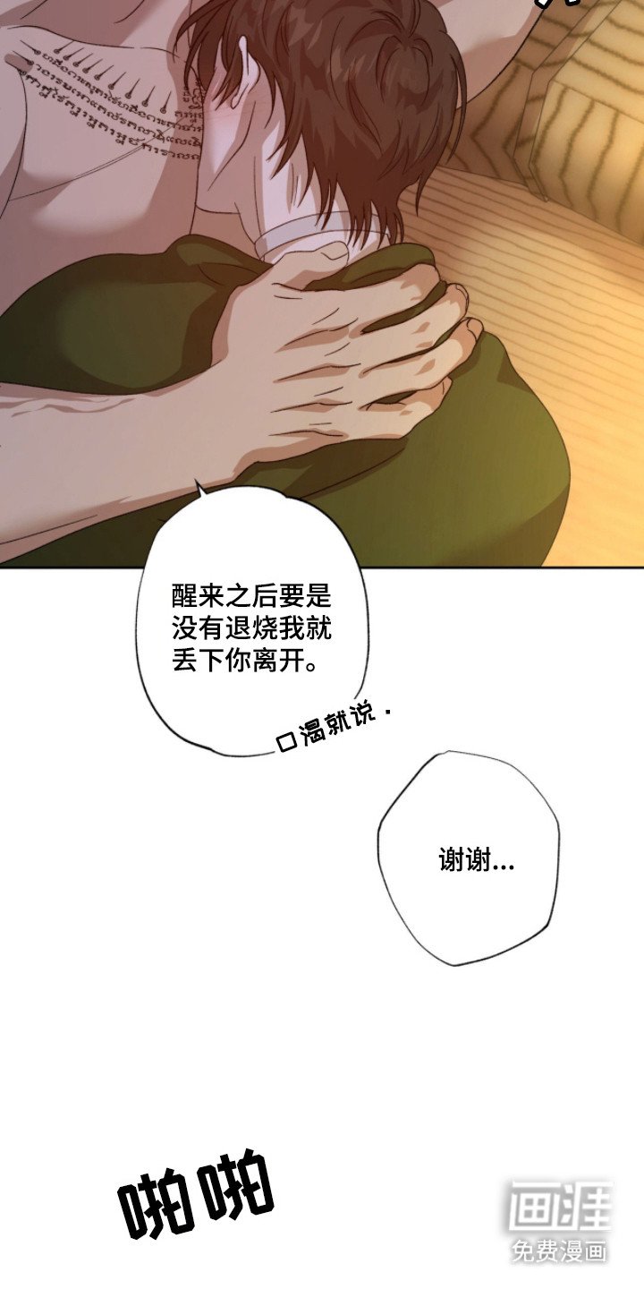第11章：很温暖