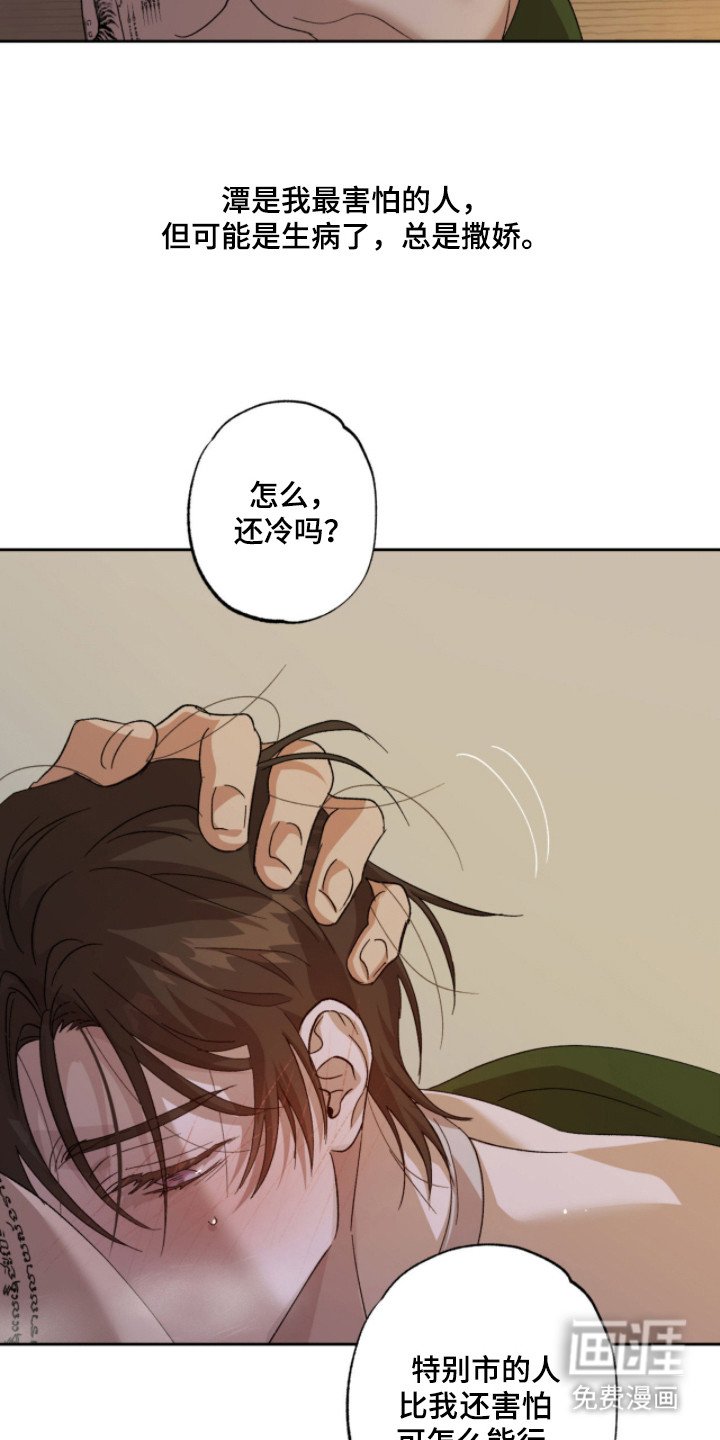 第11章：很温暖