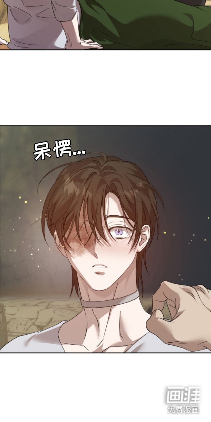 第12章：好奇