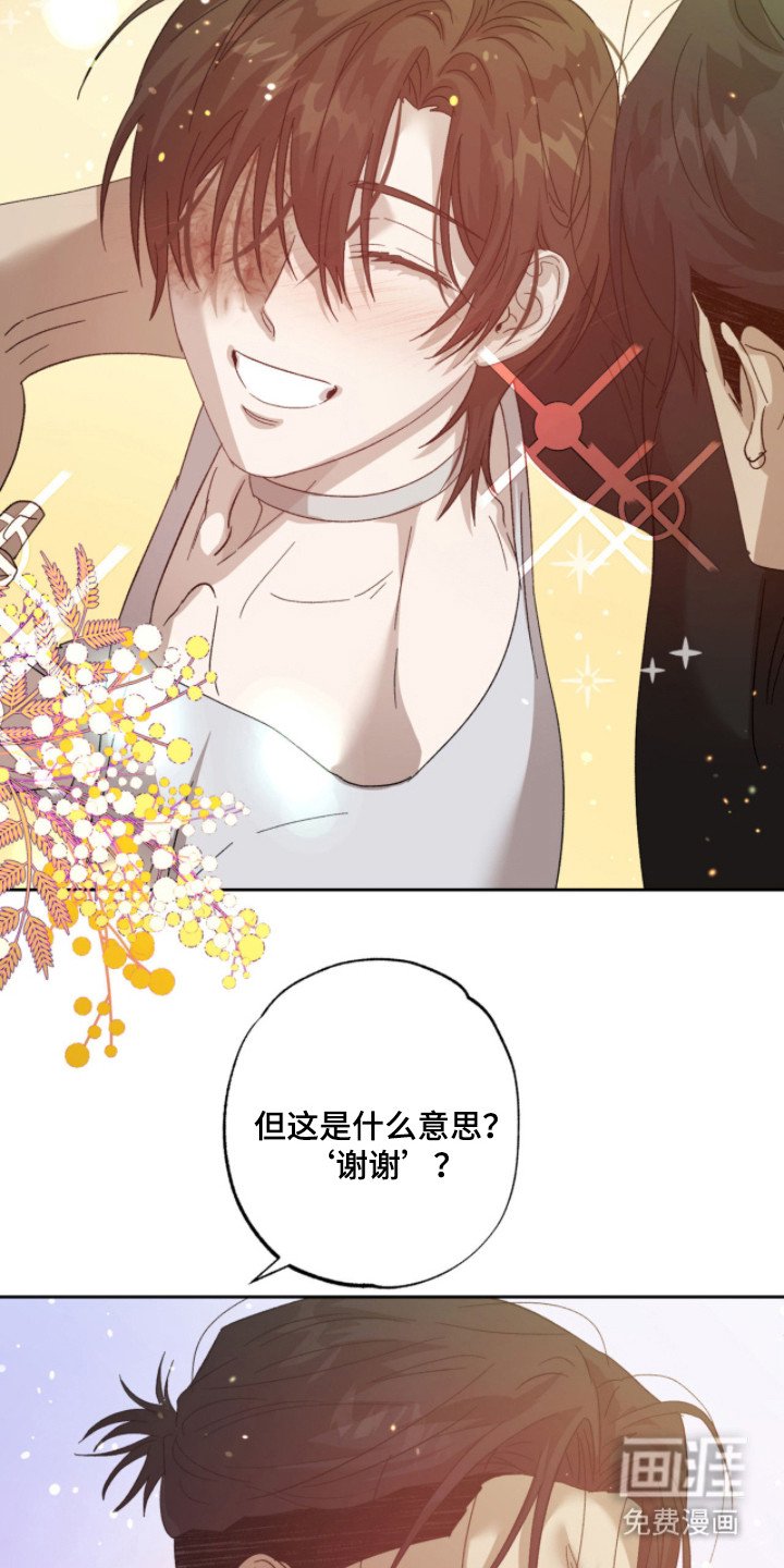 第12章：好奇