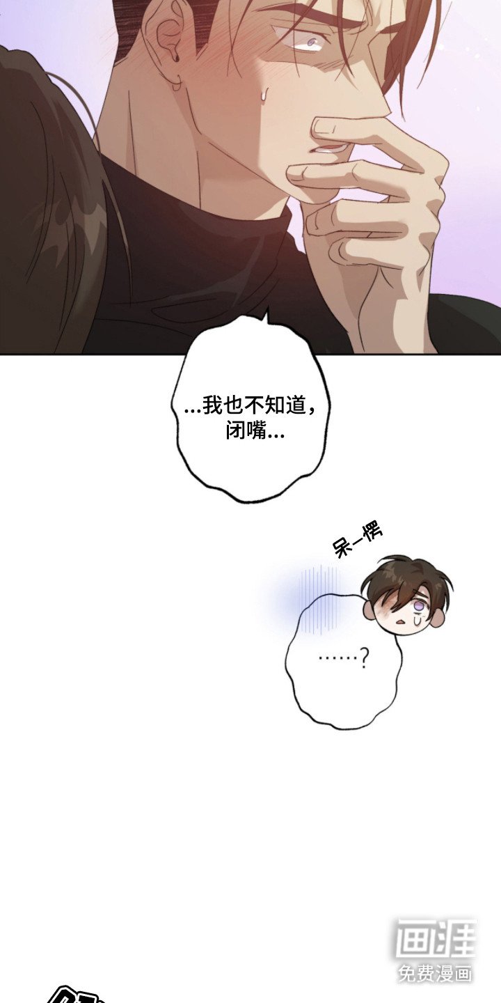 第12章：好奇
