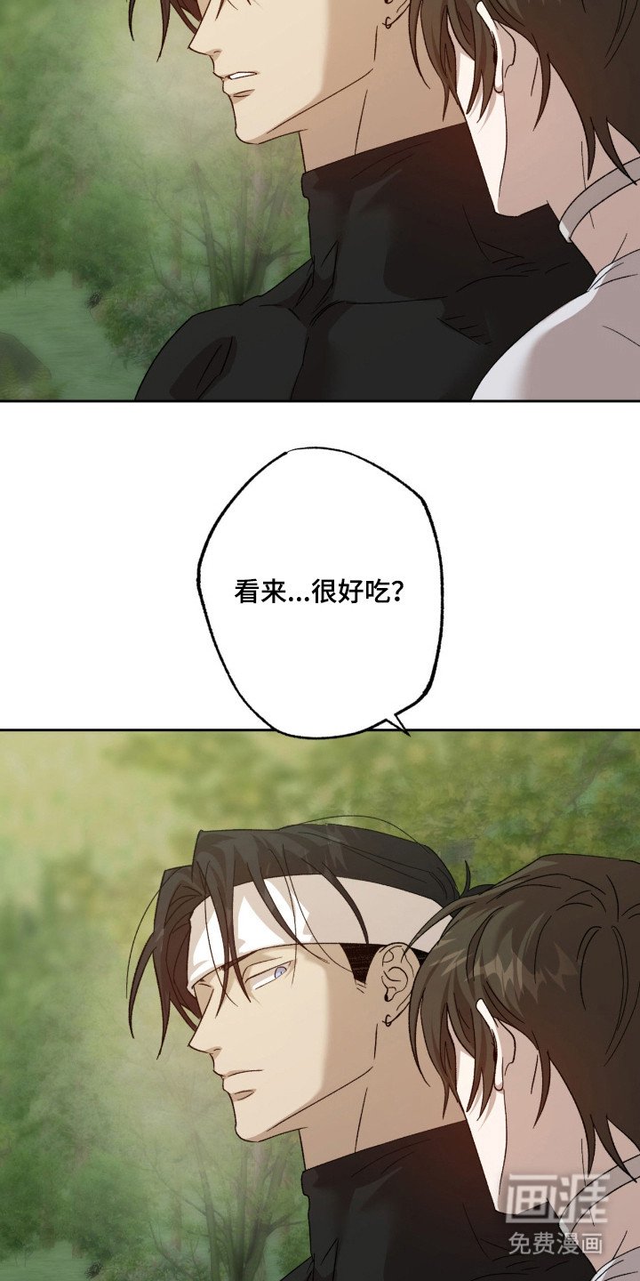 第12章：好奇