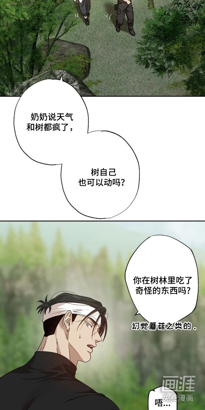 第12章：好奇