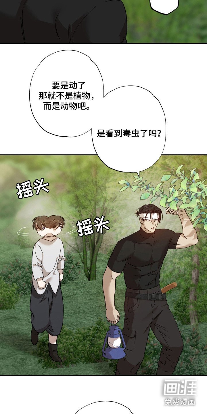第12章：好奇