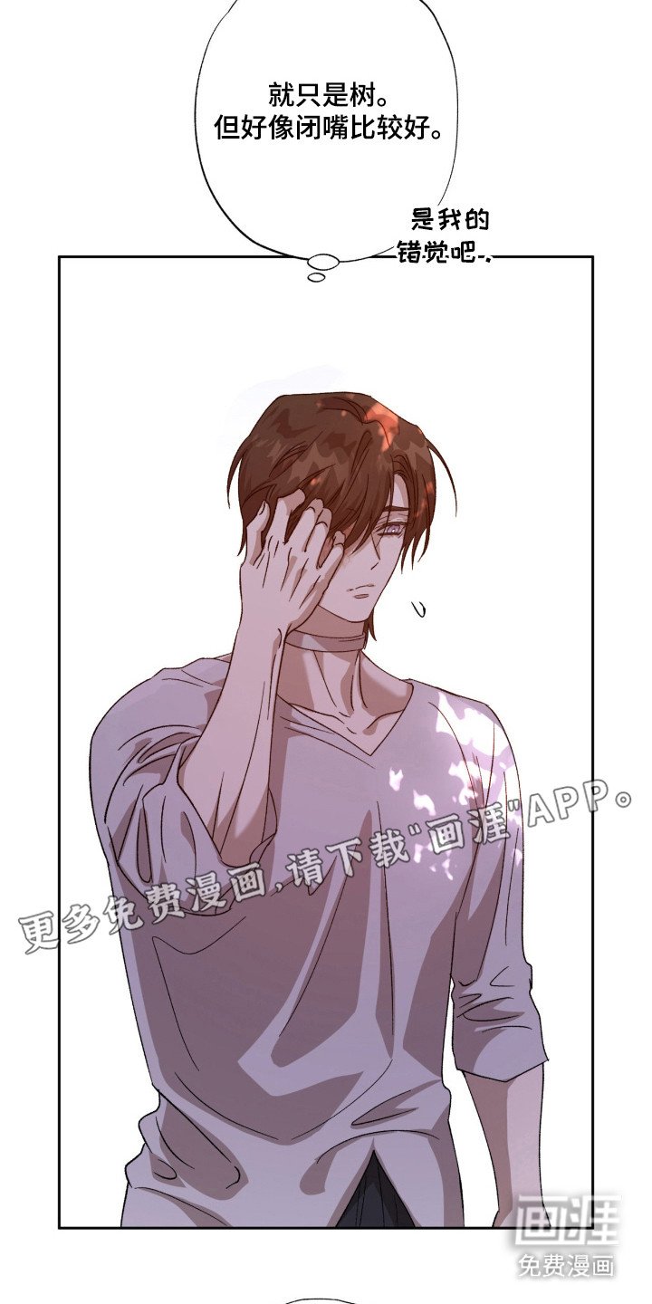 第12章：好奇