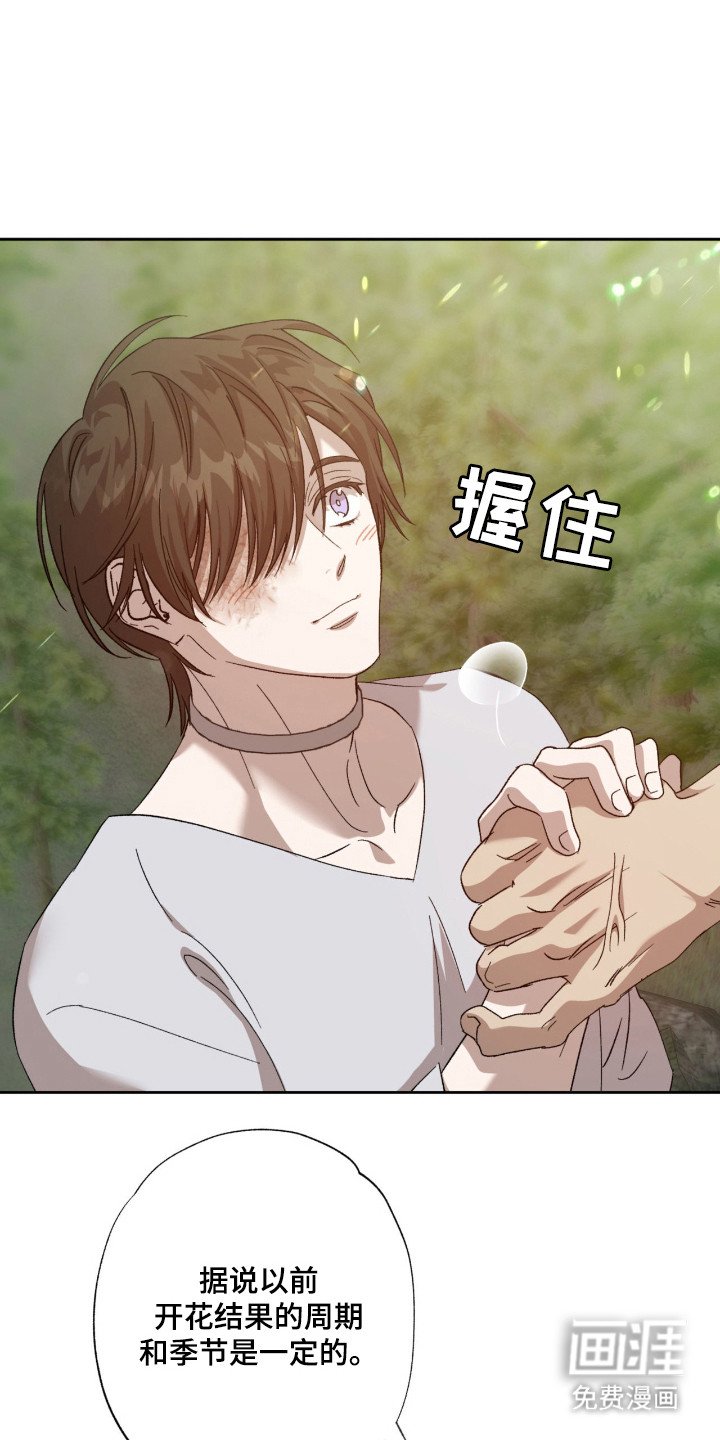 第12章：好奇