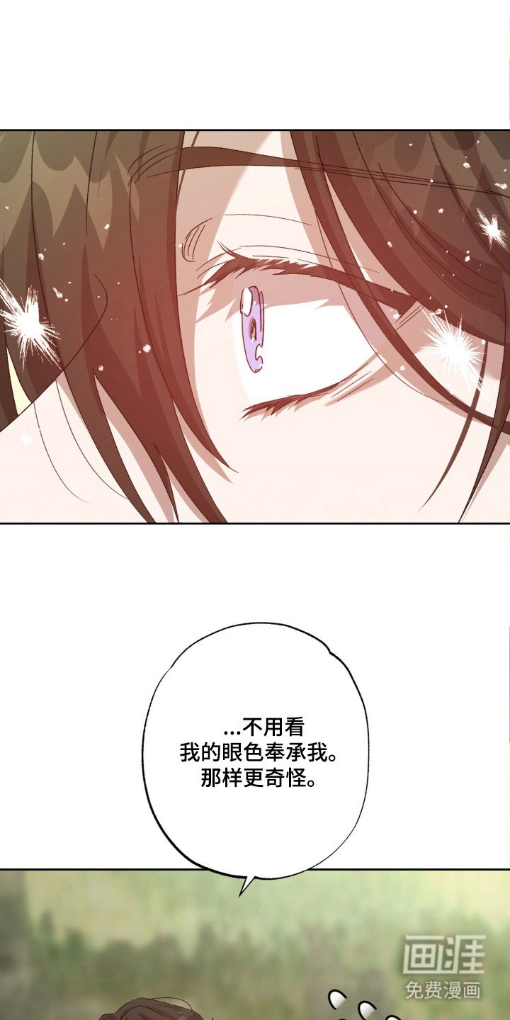 第13章：胡思乱想