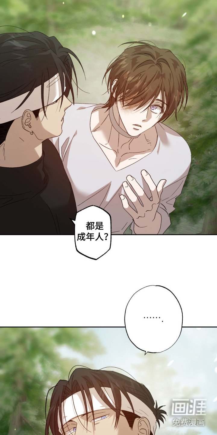 第13章：胡思乱想