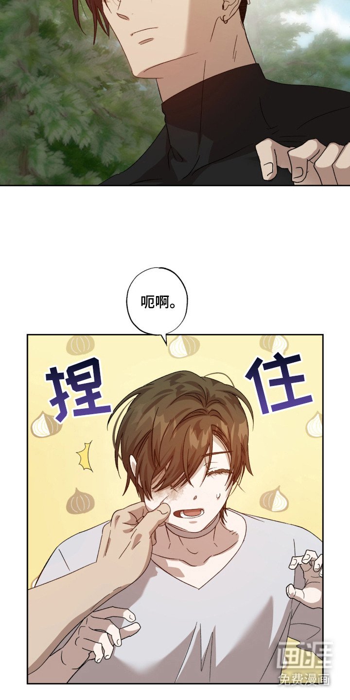 第13章：胡思乱想