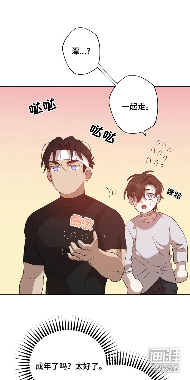 第13章：胡思乱想