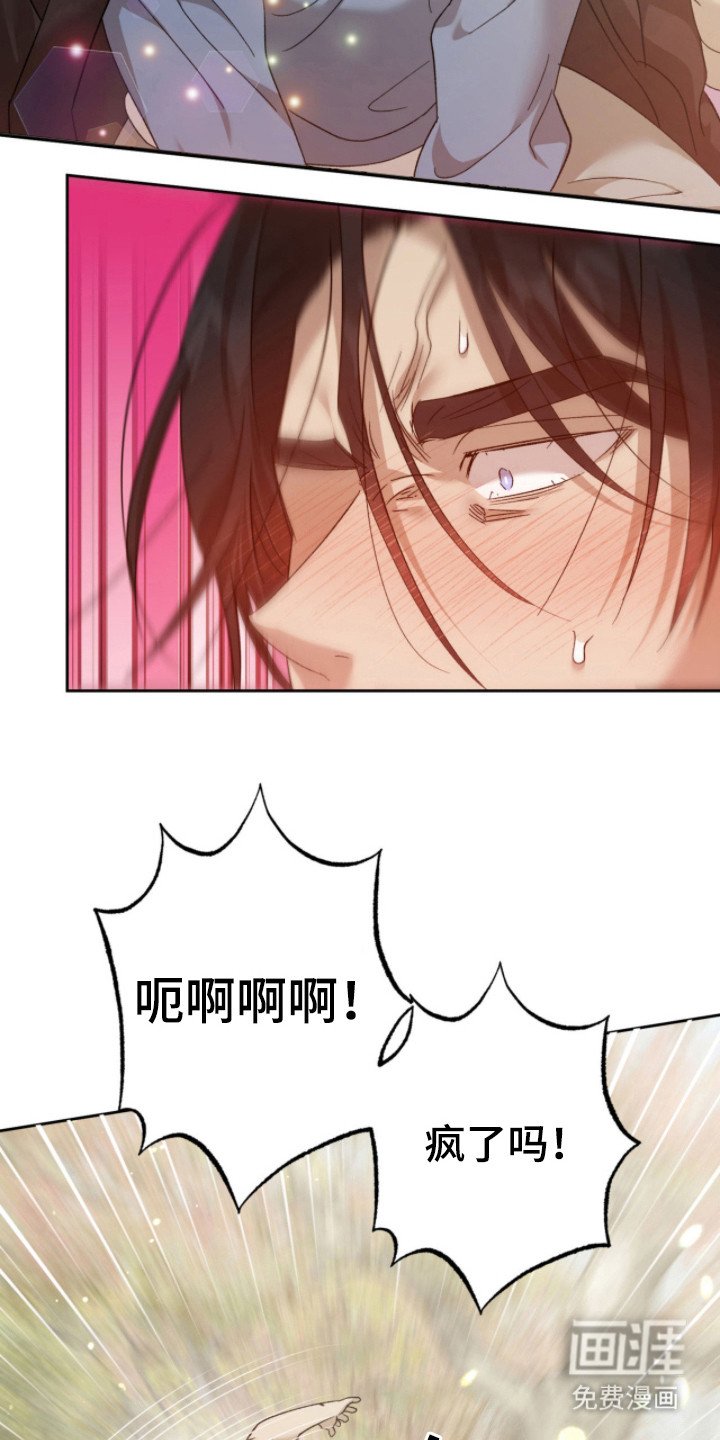 第17章：闪现的记忆