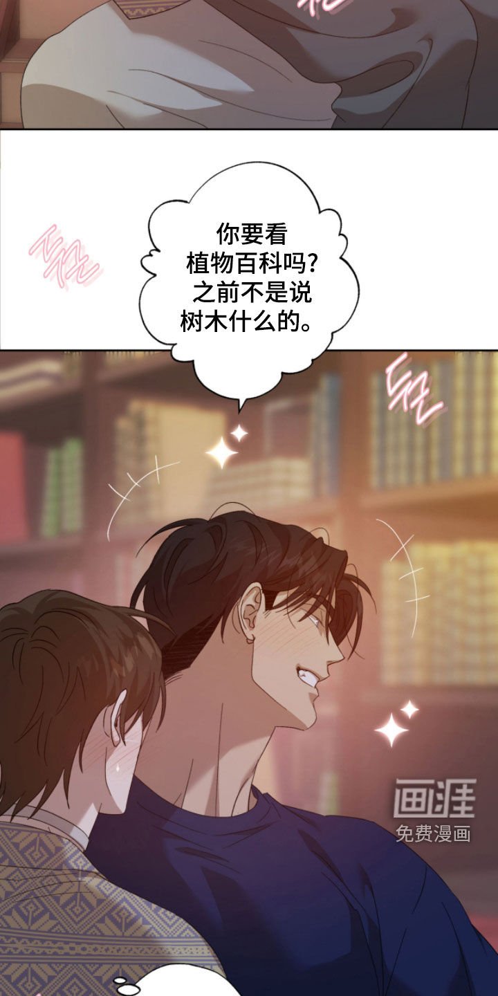 第24章：梦想